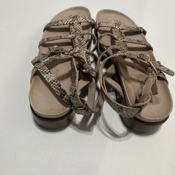 Donald J Pliner Fritz grey Snake print gladiator platform sandals size 7.5 - Picture 7 of 7
